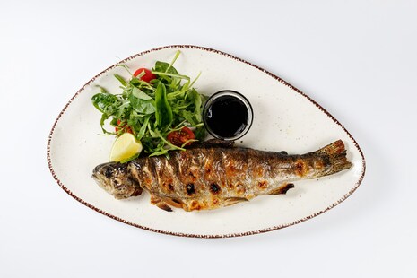 Форель на гриле с овощным салатом